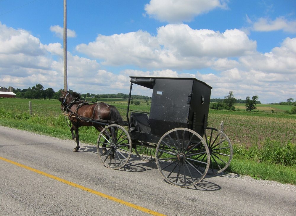 Loysville / Blain Amish Community