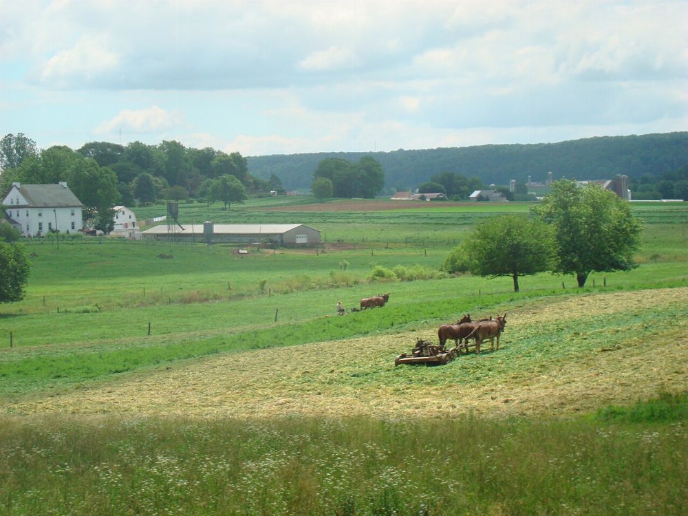 Carlton Amish Community