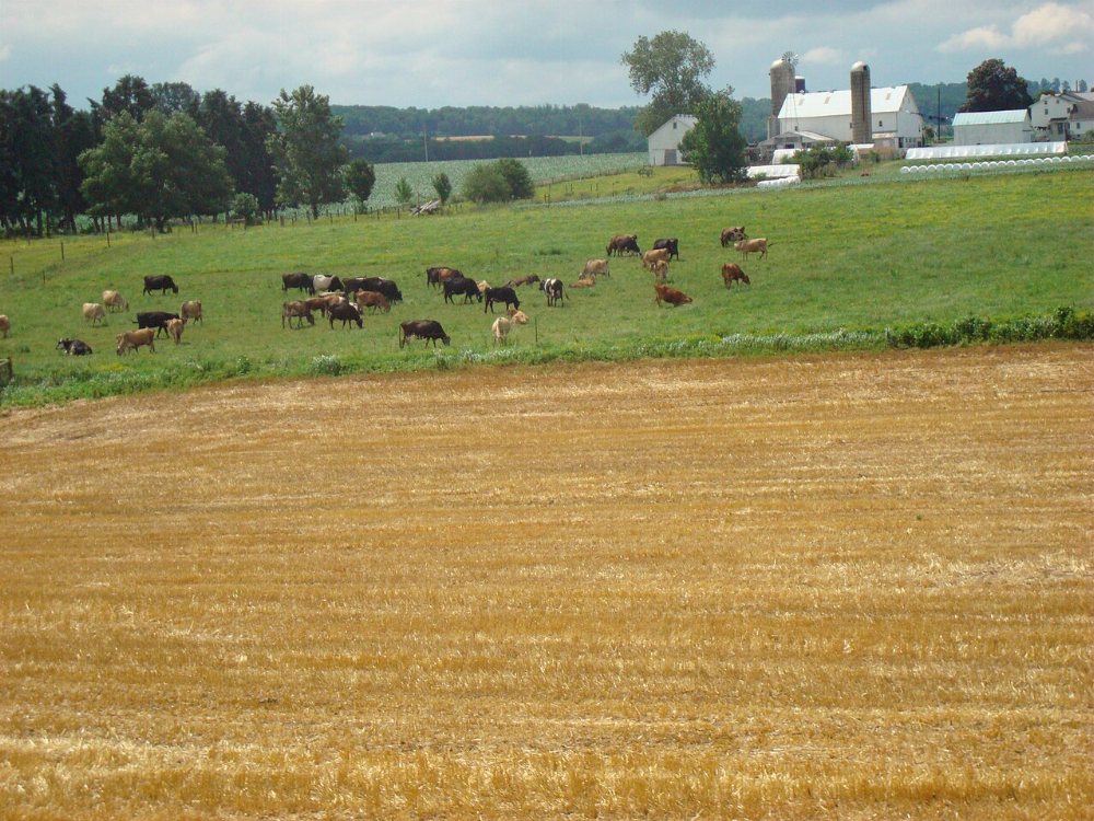White Deer Valley / Allenwood Amish Community