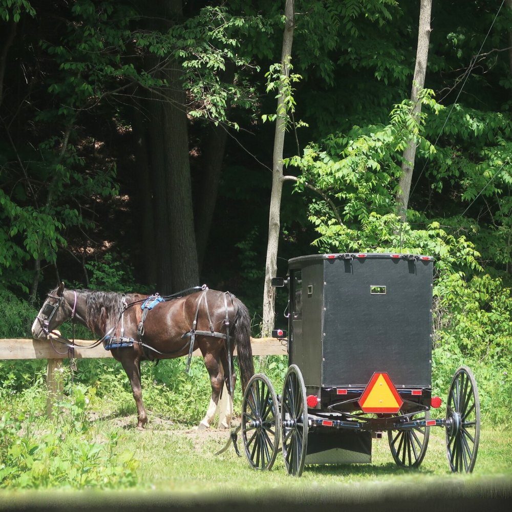 Linesville Amish Community