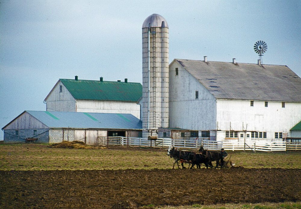 Mercer / Jackson Center Amish Community
