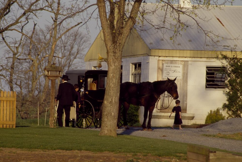 Edinboro Amish Community