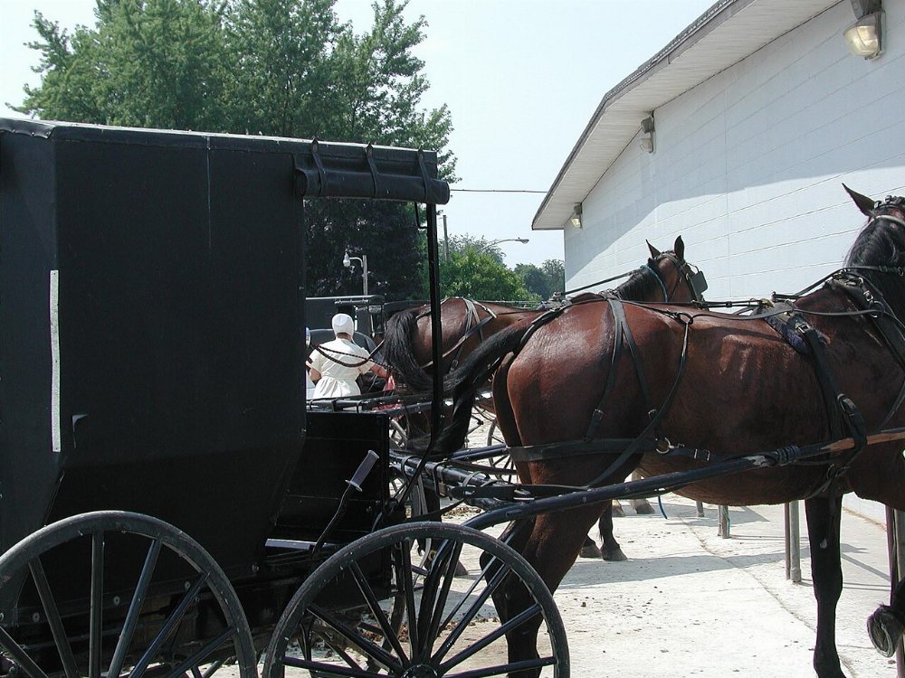 Knox Amish Community