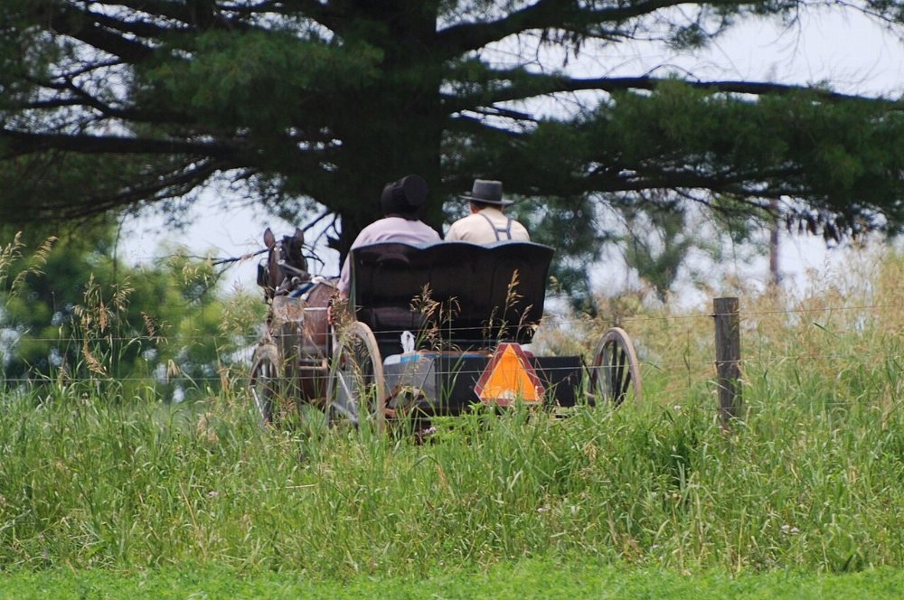 Ulysses Amish Community