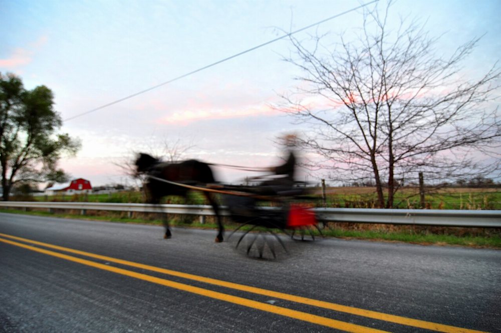 Shinglehouse Amish Community