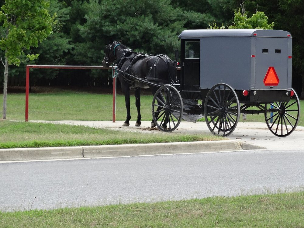 Sugar Grove Amish Community