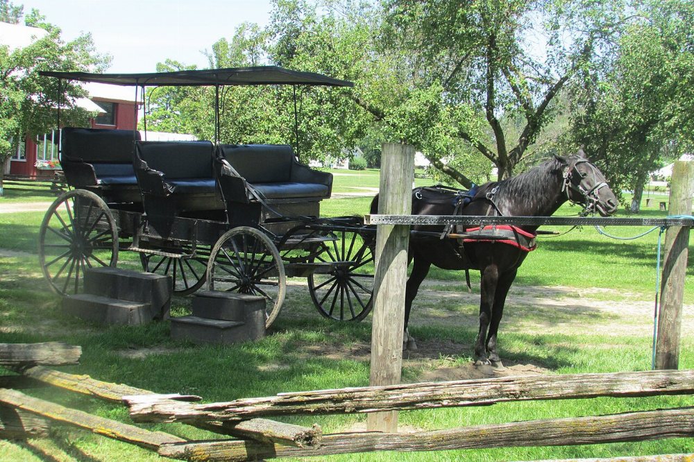 Laurel Run / Homer City Amish Community