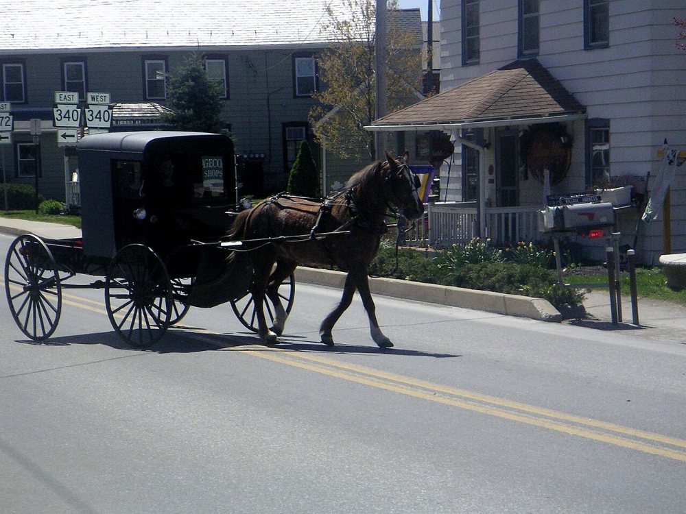 Tionesta / Fryburg Amish Community