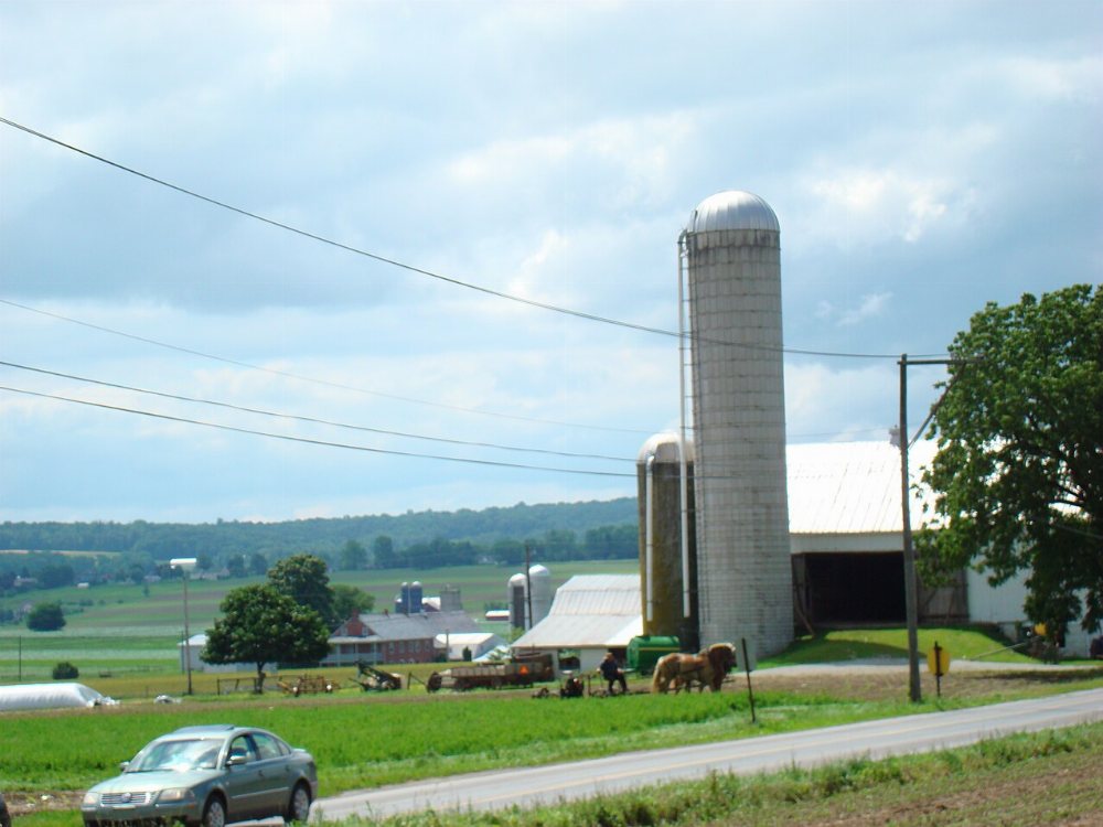 Nippenose Valley / Williamsport Amish Community
