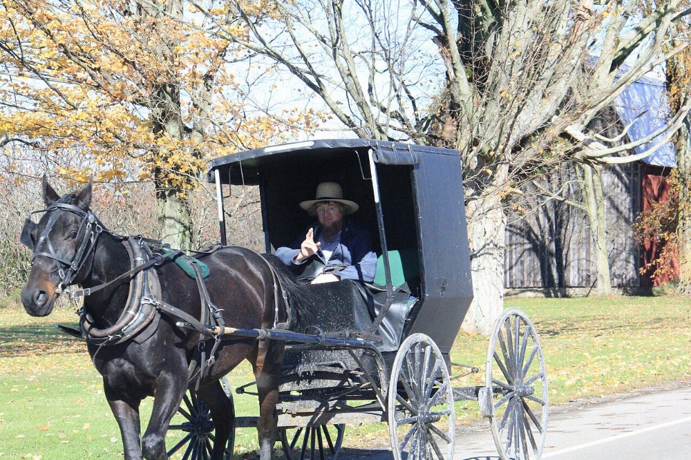 Atlantic Amish Community