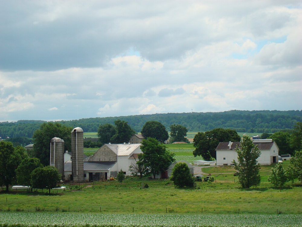 Turtlepoint Amish Community