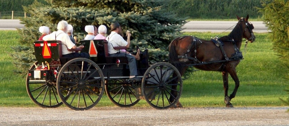 Airville-Delta Amish Community