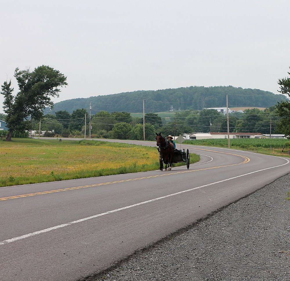 Wilcox Amish Community