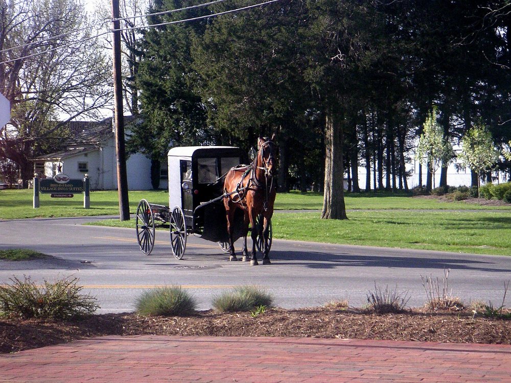 Union City Amish Community