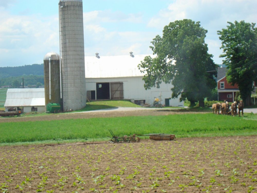 Fredonia Amish Community