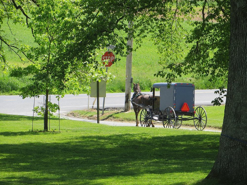 Armstrong County Amish Community