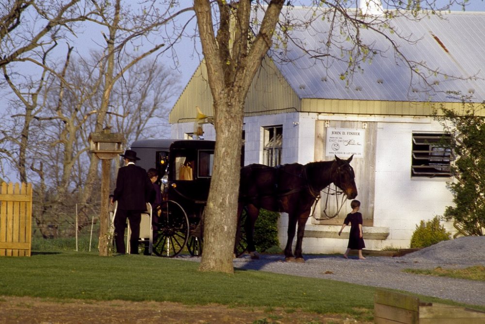 Winfield Amish Community