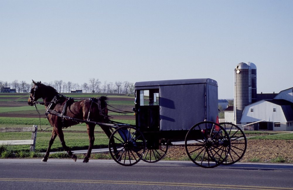 Clintonville Amish Community