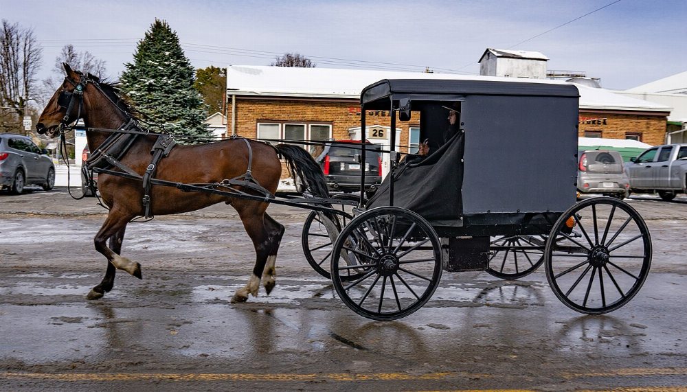 Westover Amish Community