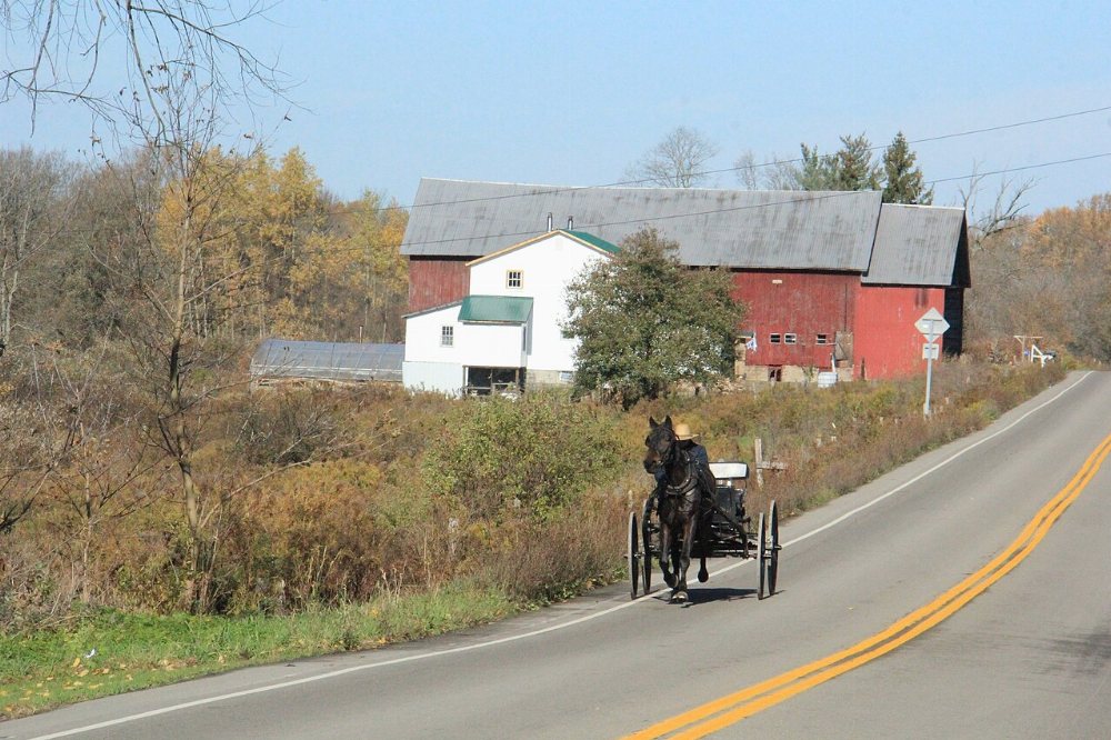 Conneautville Amish Community
