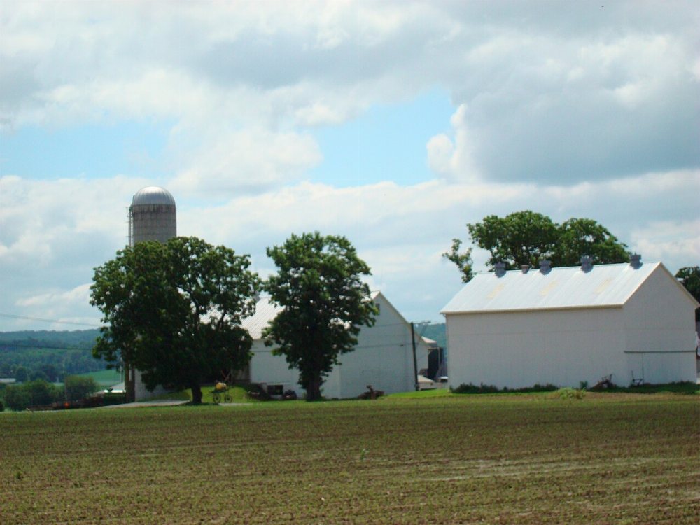 Lebanon Co / Myerstown Amish Community