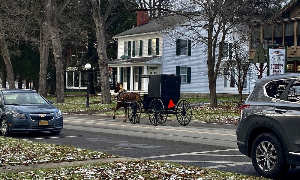 Guys Mills Amish Community