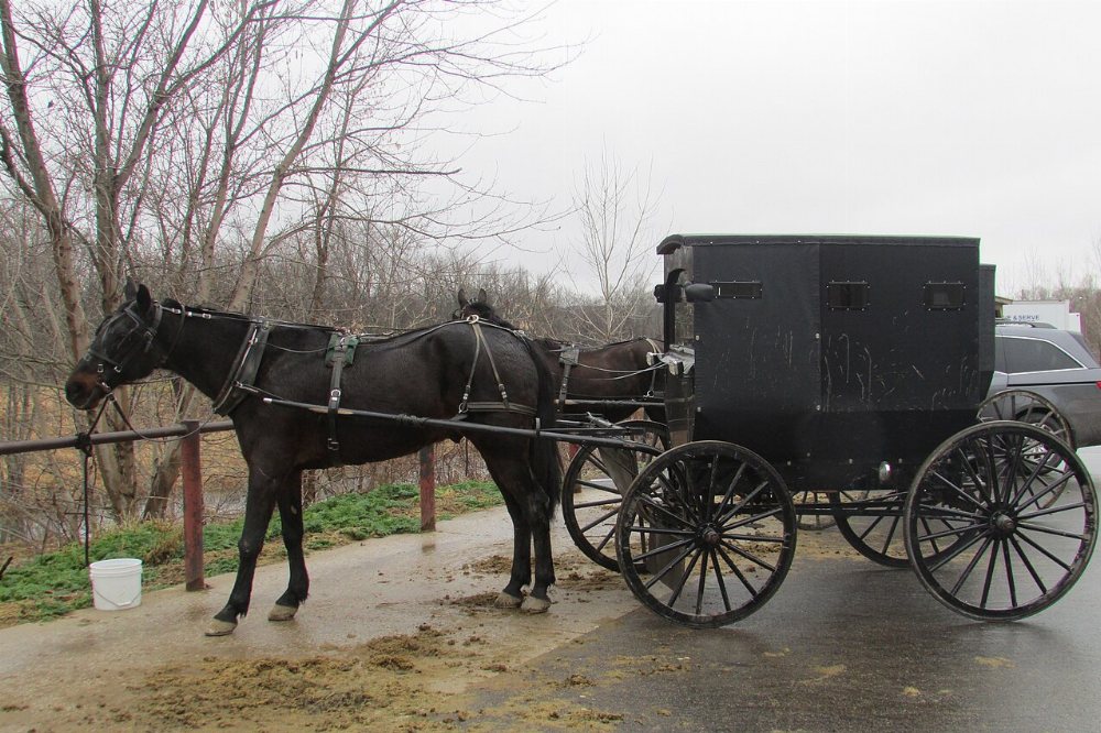 Waynesburg Amish Community