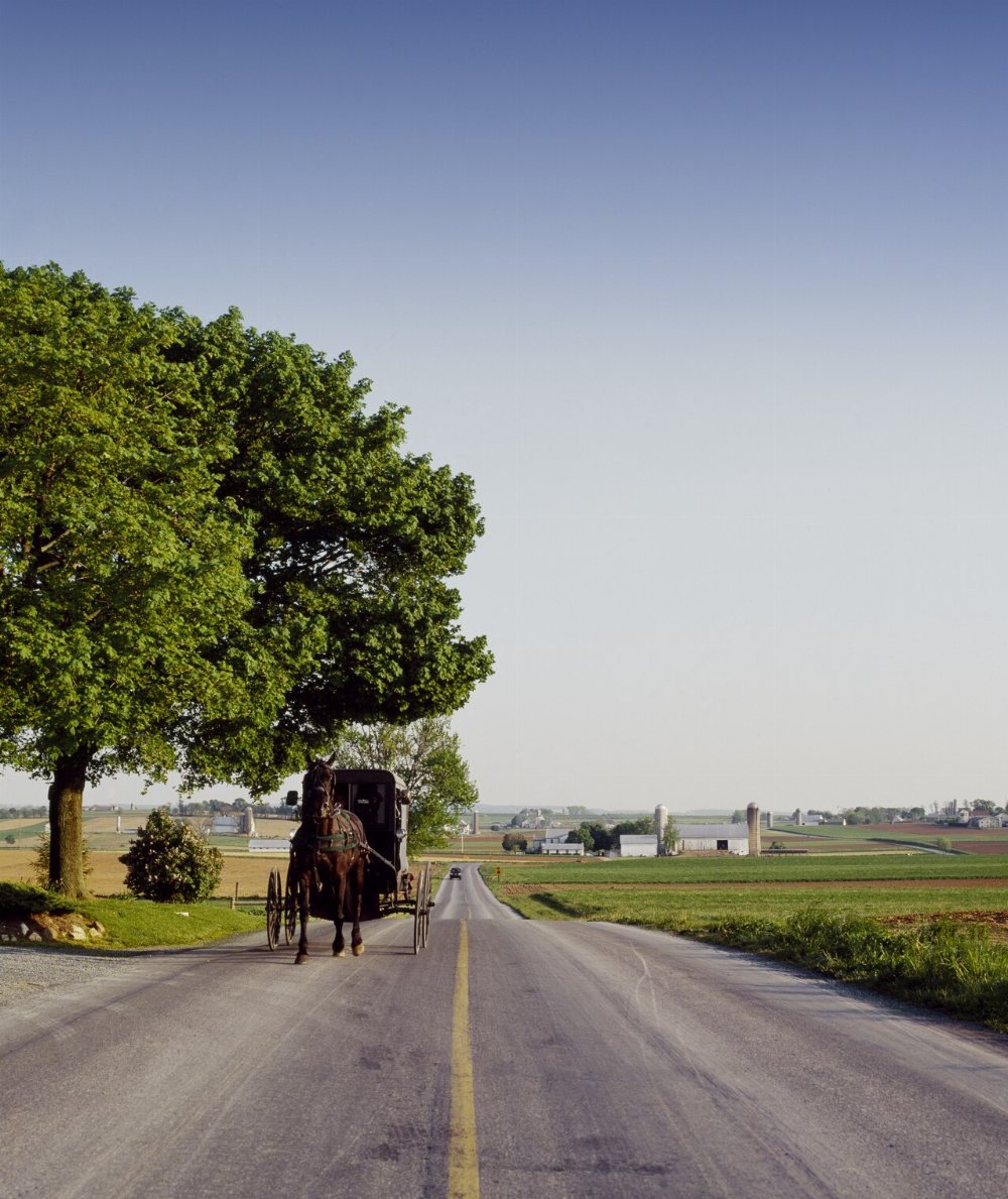 Bloomsburg / Danville Amish Community