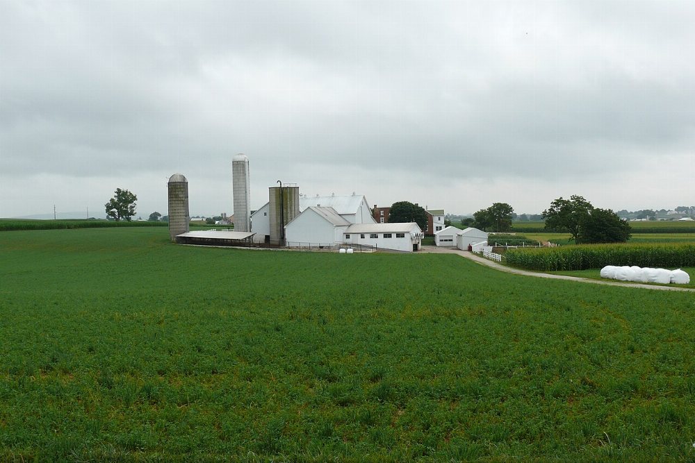 Somerset / Garrett Amish Community