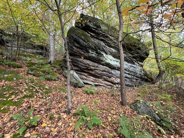 Rock Outcrop
