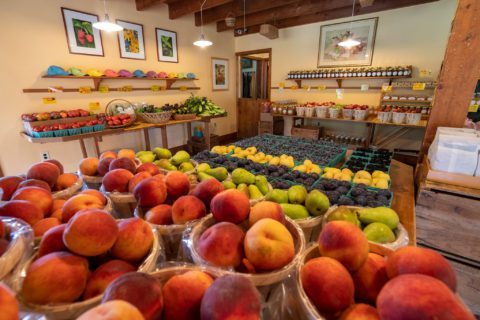Solebury Orchards