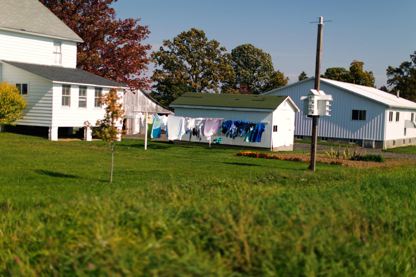 New Wilmington Amish Country