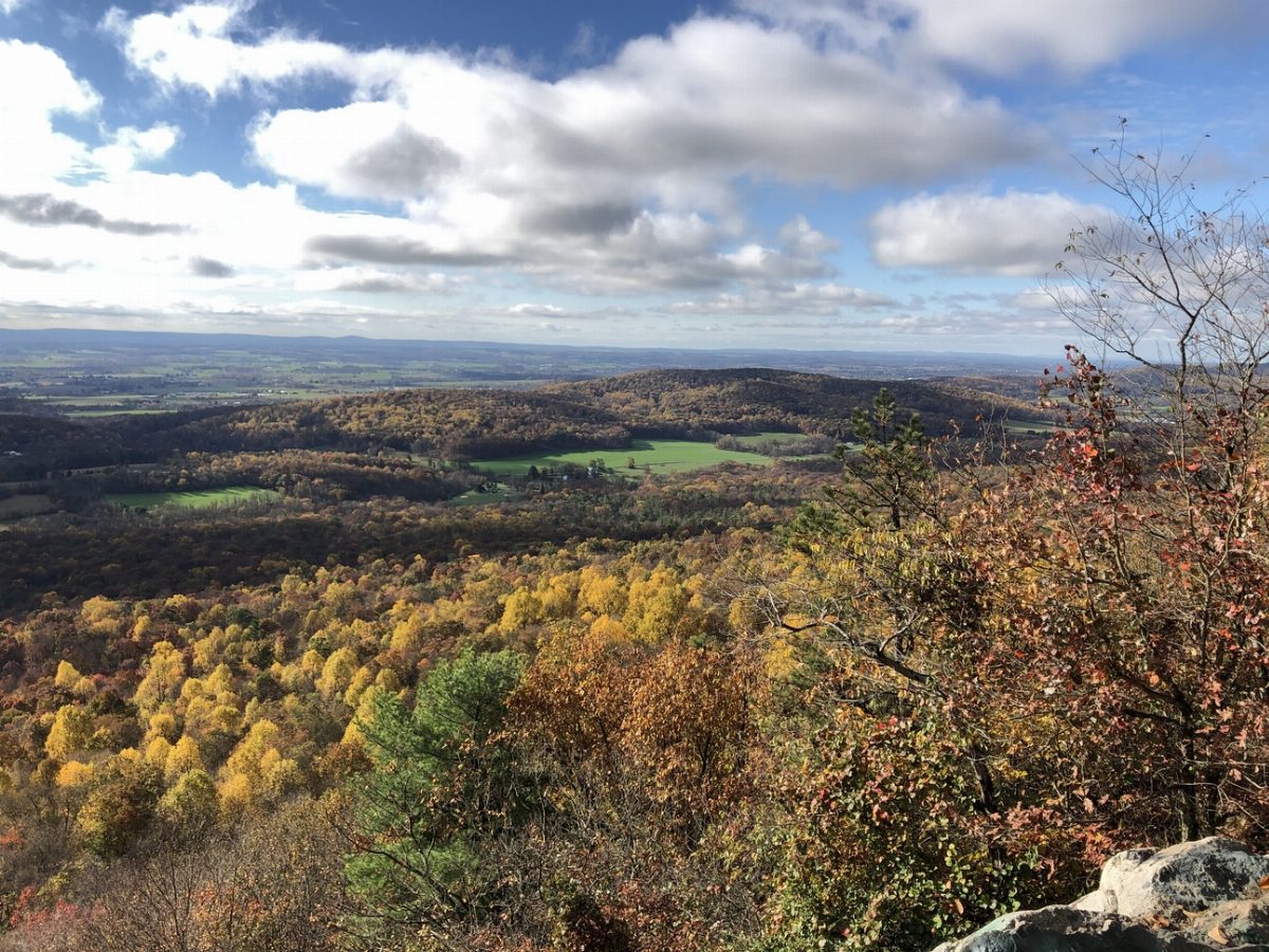 Kimmel Lookout