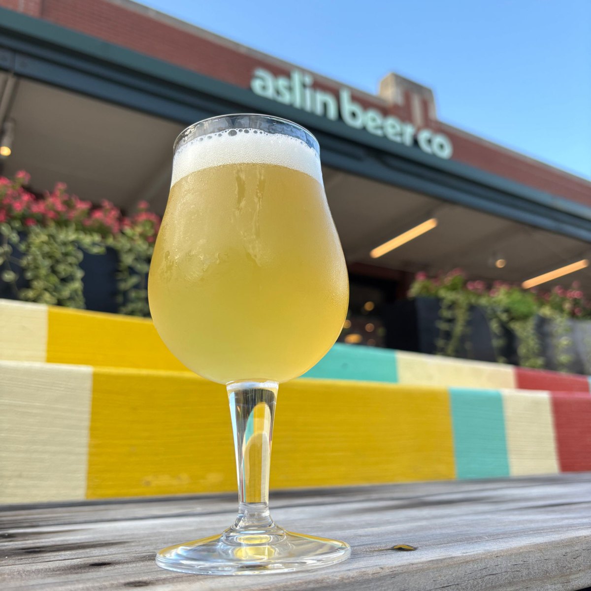 Aslin Beer Company