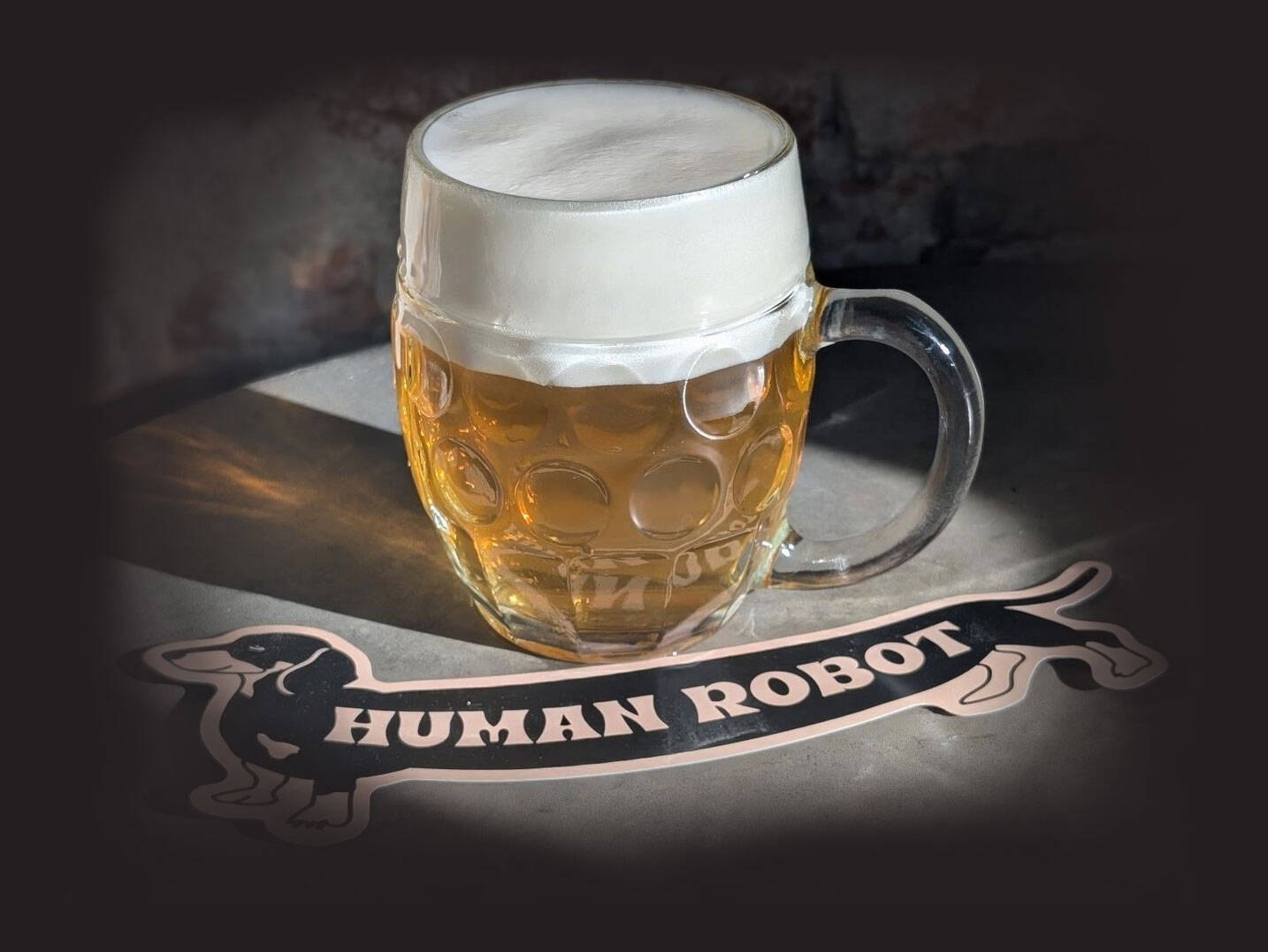 Human Robot