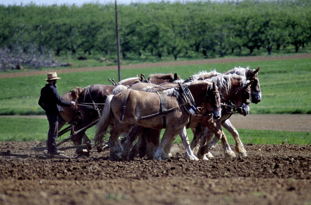 Lancaster & Amish Country